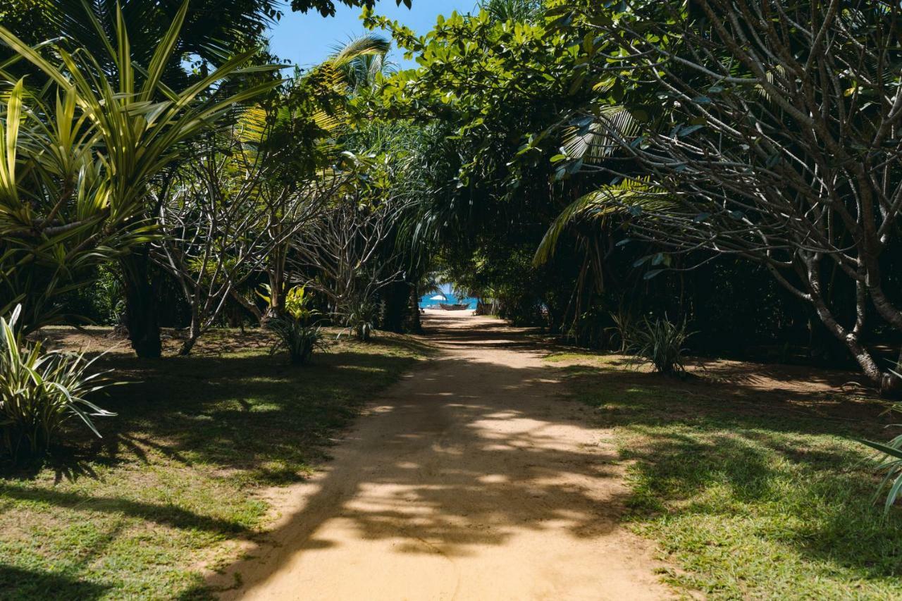 Amal Beach Hotel Bentota Zewnętrze zdjęcie